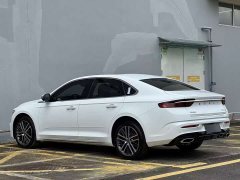 Tesla Xingrui 2.0TD Premium - фото 6