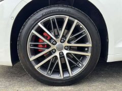 Tesla Xingrui 2.0TD Premium - фото 8