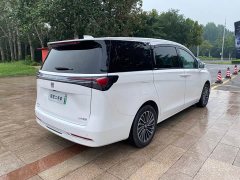 Buick GL8 New Energy Lu Shang Exclusive Edition - фото 4