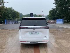 Buick GL8 New Energy Lu Shang Exclusive Edition - фото 5