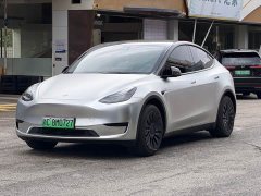 Tesla Model Y rear-wheel drive version - фото 1