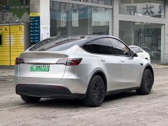 Tesla Model Y rear-wheel drive version - фото 10