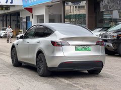 Tesla Model Y rear-wheel drive version - фото 11
