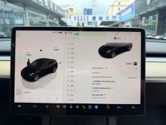 Tesla Model Y rear-wheel drive version - фото 9