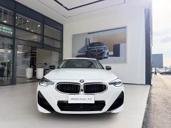 BMW 2 Series (Imported) 225i M Sports Night Package - фото 3