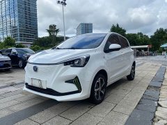 Changan Benben E-Star 2021 National Edition Xinyue Edition Lithium Iron Phosphate (31.18kWh) - фото 1