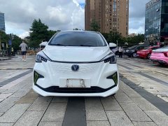 Changan Benben E-Star 2021 National Edition Xinyue Edition Lithium Iron Phosphate (31.18kWh) - фото 2