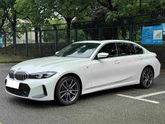 BMW 3 Series 320Li M Sports Package - фото 7