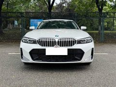 BMW 3 Series 320Li M Sports Package - фото 8