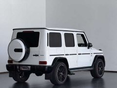 Mercedes-Benz G-Class G 500 - фото 16