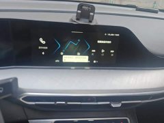 Ford EADO Enjoy Edition PLUS Blue Whale NE 1.4T GDI DCT Premium Edition - фото 13