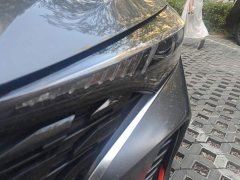 Ford EADO Enjoy Edition PLUS Blue Whale NE 1.4T GDI DCT Premium Edition - фото 5