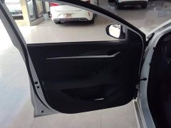 Ford EADO 2020 PLUS Blue Whale NE 1.4T GDI DCT Advanced - фото 7