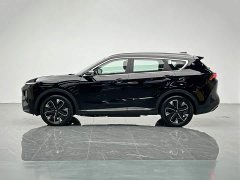 Jetour Jietu Shanhai L7 1.5T 120km MAX 7 seats - фото 3
