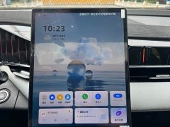 Geely Boyue L 2024 1.5TD DCT Premium Edition - фото 17