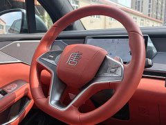 BYD Tang L DM 175KM drone player version - фото 11