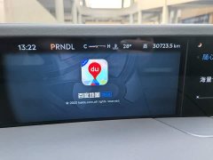 Lincoln Voyager 2.0T four-wheel drive premium version - фото 13