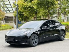 Tesla Model 3 2021 Standard Range Rear Drive Upgraded Version - фото 1