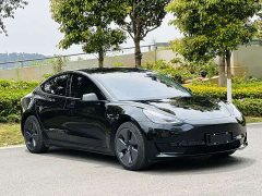 Tesla Model 3 2021 Standard Range Rear Drive Upgraded Version - фото 3