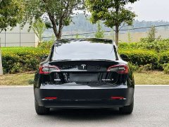 Tesla Model 3 2021 Standard Range Rear Drive Upgraded Version - фото 8