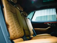 Audi RS Q8 RS Q8 4.0T - фото 15