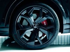 Audi RS Q8 RS Q8 4.0T - фото 9