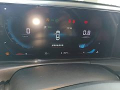 Ford EADO PLUS Blue Whale NE 1.4T GDI DCT Premium Type - фото 12