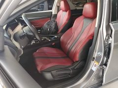 Ford EADO PLUS Blue Whale NE 1.4T GDI DCT Premium Type - фото 15