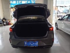 Ford EADO PLUS Blue Whale NE 1.4T GDI DCT Premium Type - фото 19