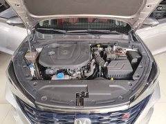 Ford EADO PLUS Blue Whale NE 1.4T GDI DCT Premium Type - фото 20