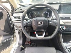 Ruicheng CC Blue Whale Edition 1.5T DCT Luxury - фото 11