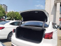 Ruicheng CC Blue Whale Edition 1.5T DCT Luxury - фото 19