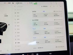 Tesla Model 3 Standard Range Rear Drive Upgraded Version - фото 8