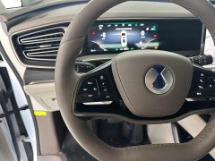 Denza D9 DM-i 970 four-wheel drive flagship - фото 16