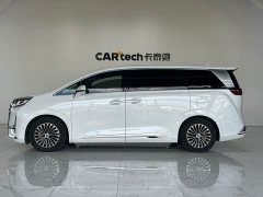 Denza D9 DM-i 970 four-wheel drive flagship - фото 8