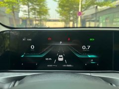 Ford EADO PLUS Blue Whale NE 1.4T GDI DCT flagship - фото 18