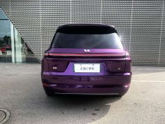 Li Auto Ideal L9 2022 Max - фото 4