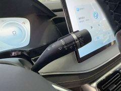 BYD Tangxin Energy 2023 DM-i Champion Edition 112KM Exclusive Type - фото 19
