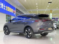 BYD Tangxin Energy 2023 DM-i Champion Edition 112KM Exclusive Type - фото 6