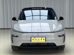 Tesla Model Y rear-wheel drive first edition - фото 3