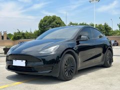 Tesla Model Y 2023 rear-wheel drive version - фото 1
