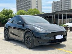 Tesla Model Y 2023 rear-wheel drive version - фото 3