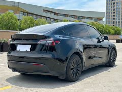 Tesla Model Y 2023 rear-wheel drive version - фото 6