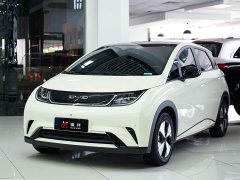 BYD Dolphin 420km Fashion Edition - фото 1