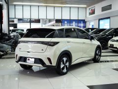 BYD Dolphin 420km Fashion Edition - фото 14