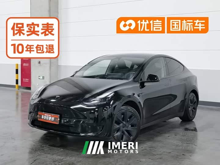 Tesla Model Y rear-wheel drive version - автомобиль из Китая
