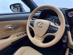 Lexus ES 300h Premium Edition - фото 10