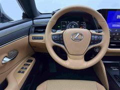 Lexus ES 300h Premium Edition - фото 9