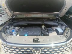 Changan CS55PLUS fourth generation New Blue Whale 1.5T Tianshu Premium - фото 20