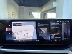 BMW 3 Series 320Li M Sport Package - фото 14